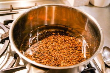 Saussice_rougaille _02